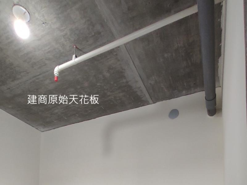 天花板